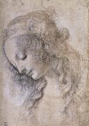 LEONARDO da Vinci, Woman portrait